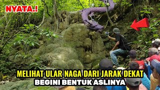 jombang gempar lagi.!awalnya dikira batu setelah didekati ular naga