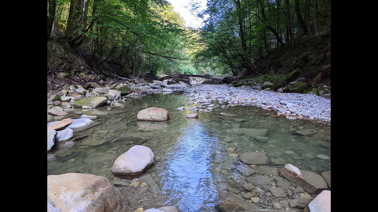 Река отзывы Река отзывы
