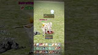 Hell Knight vs Hell Knight Dievas - L2 Eternal