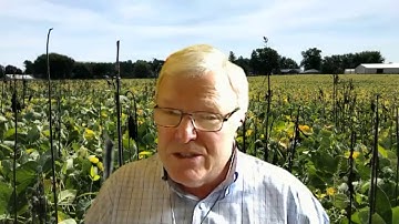 2020 DAS Virtual Workshop and Tutorial - Day 1 - Part 7 (Conclusion)