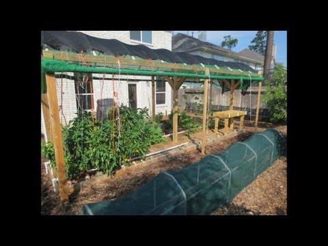 Video: Reducing Garden Shade - Easy Fixing For Too Much Shade In Laws