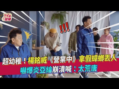 超幼稚！楊銘威《營業中》拿假蟑螂丟人 嚇爆炎亞綸崩潰喊：太荒唐｜BbLAB復活草面膜｜TVBS新聞｜擠看看
