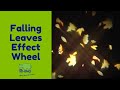 Falling Leaves Effect Wheel