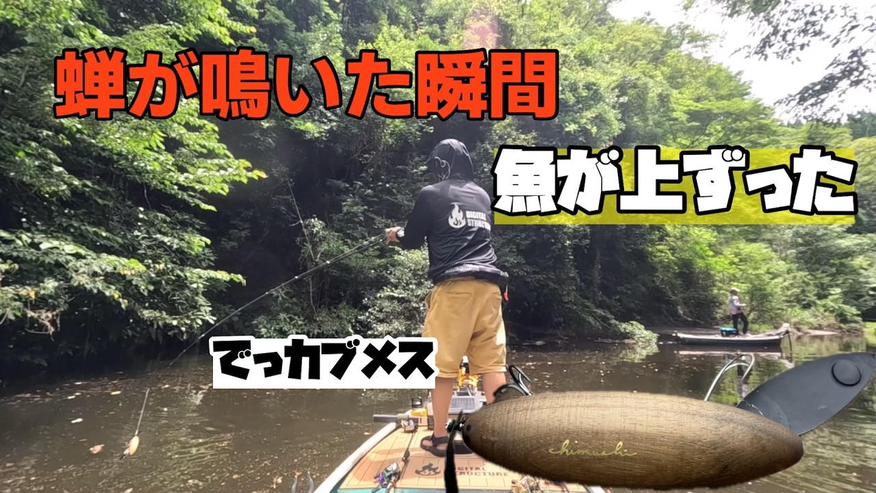 【バス釣り】でっカブメス汚木で魚が上ずったタイミングの本気バイトを見た！