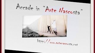Accade In Arte Nascosta 1 Video Raccolta 