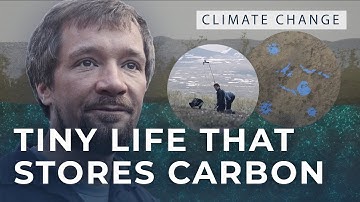 How do soil microbes affect climate change?