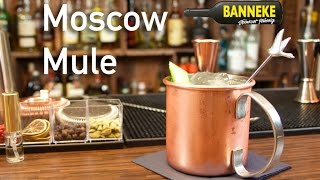 Moscow Mule - Vodka Longdrink selber mixen - Schüttelschule by Banneke
