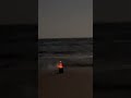 Giant firework at beach