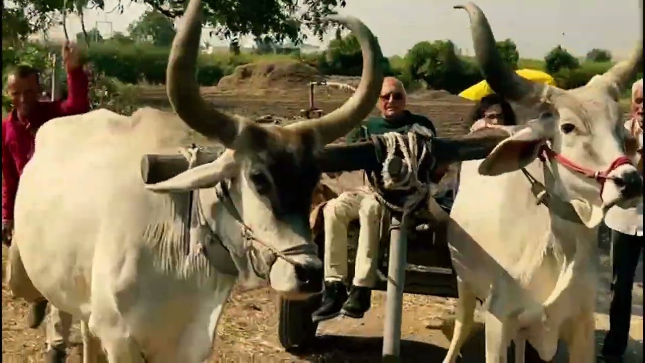 6 January 2026 Life revolves like a wheel of a cart…Happiness & Sadness 