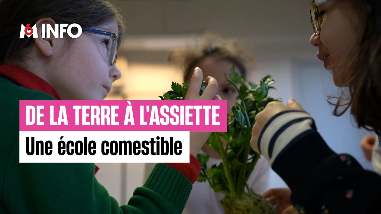 L’association École Comestible fait aimer les légumes aux plus jeunes