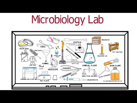 تصویری: ابزارهای مورد استفاده در میکروبیولوژی چیست؟