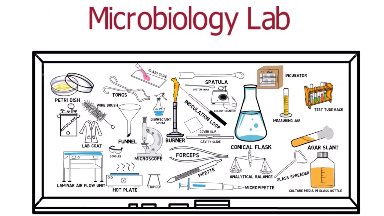 Microbiology Lab Equipment