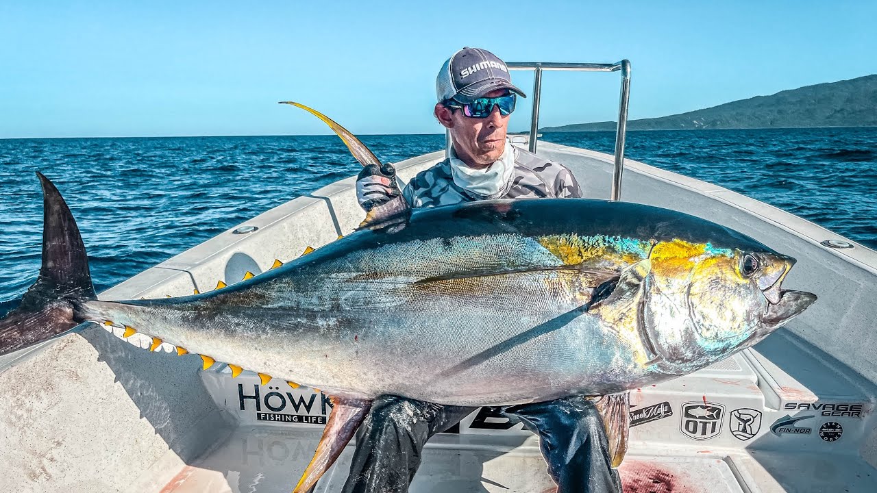 SEÑUELOS para PESCA en AGUA SALADA / Que AZUELOS usar y COMO ponerlos 