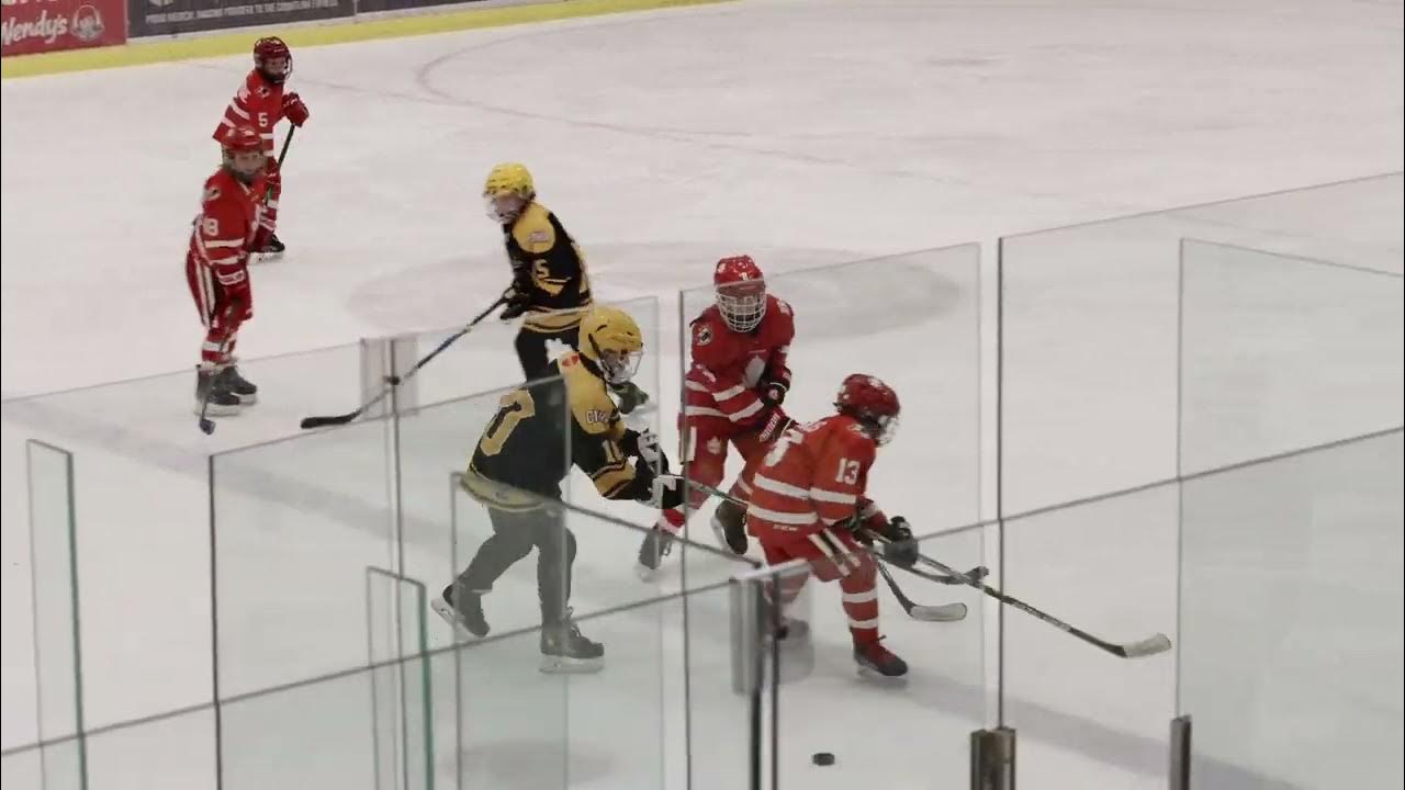 Minor Hockey (u11 A4) Coquitlam C's vs Ridge Meadows Rustlers (Dec 3rd