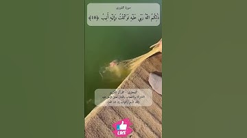 وما اختلفتم فيه من شيء فحكمه إلى الله | سورة الشورى #دعاء_ورسالة