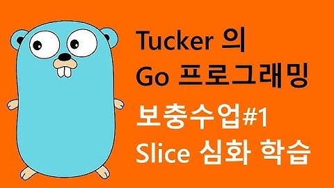 컴맹을 위한 Go 언어 프로그래밍 강좌 보충수업 - Slice 심화