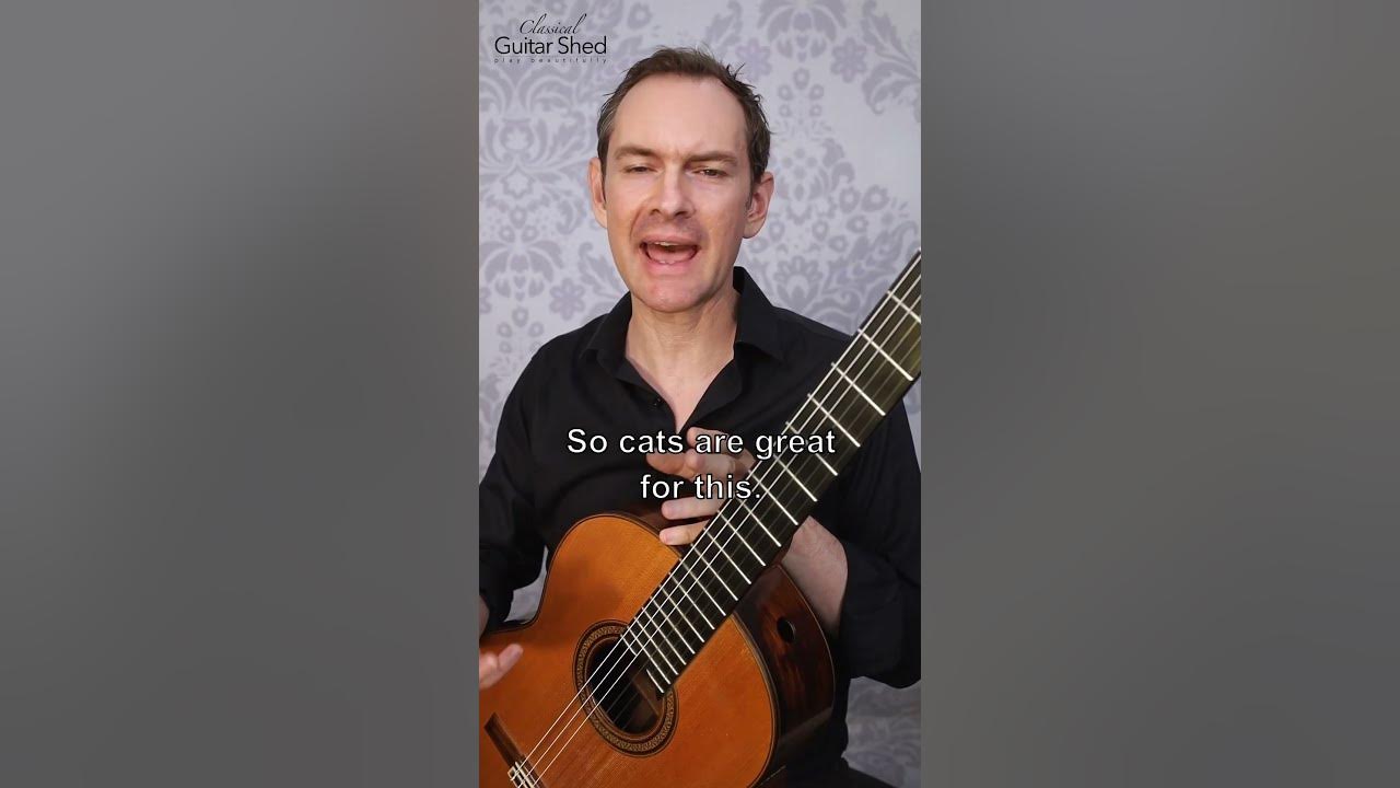 Do Cats Like Classical Guitar