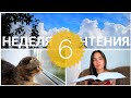 ЧТО ЗАБЫЛА В ДЕРЕВНЕ?! ☀️📚 ЛЕТНИЕ ОДИНОКИЕ БУДНИ