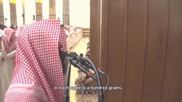 (فِي كُلِّ سُنْبُلَةٍ مِائَةُ حَبَّةٍ) من روائع تلاوات الشيخ محمد اللحيدان الليلة 4 رمضان 1440