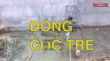 Biện pháp thi công móng nhà bằng đóng cọc tre
