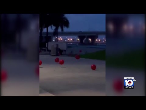 Miami police officers investigate balloon release polluting Biscayne Bay