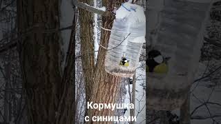 Урок 8. Лучшие переходы - Camera Transition