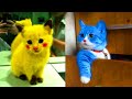 1 Hour Of Funniest Cat Videos | New Funny Animals 2023 😍 Part 1