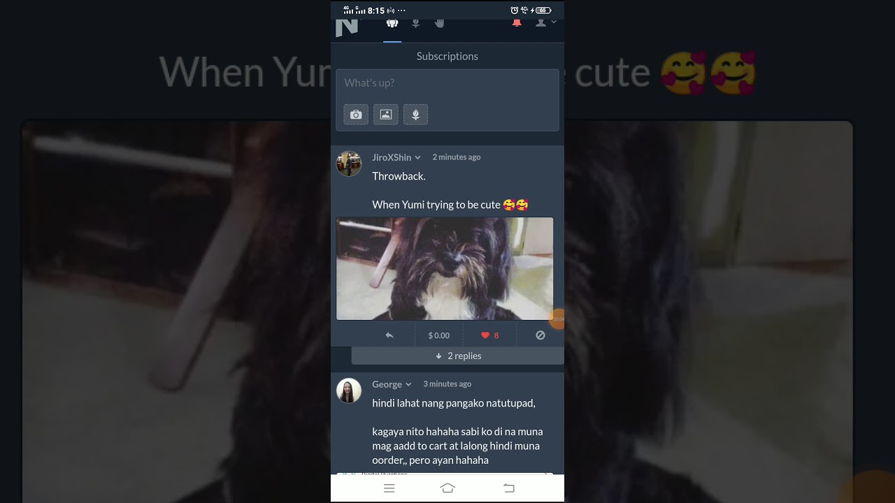 noise.cash:A complete guide in giving free tips.