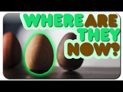 Zen Egg - Where are they NOW? by iDubbbzTV