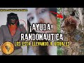 RANDONAUTICA | Nuevos y aterradores videos | Sospechan que alguien está detrás de cada escena