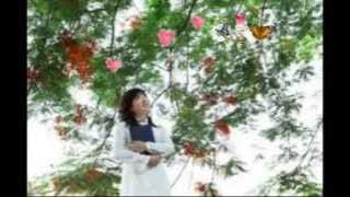 Nhớ Ơn Thầy Cô - Mắt Ngọc
