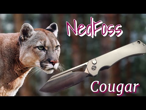 Is The Nedfoss Cougar Worth Buying!??