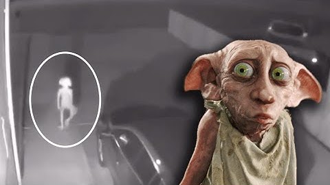 Is the Dobby Creature Real?? Brand New Enhanced Video You Have to SEE!