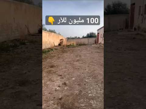 أرض فلاحية في ولاية تلمسان رقم صاحب العقار 0559044792 عقارات شقة أرض للبيع الفلاحة
