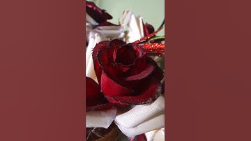 لا تنسوا قراءة سورة الكهف والصلاه على النبي