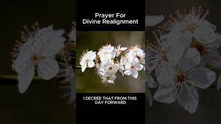 A Short Prayer for Divine Realignment 🙏 #Shorts