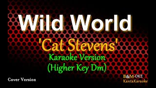 Wild World - by Cat Stevens / HIGHER KEY (Karaoke Version)