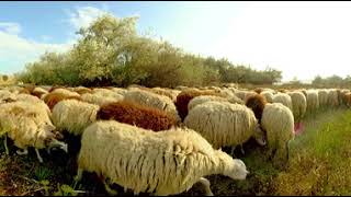 Lemnos Greece 360 Travel by WeARVR 1,671 views 5 years ago 2 minutes, 26 seconds