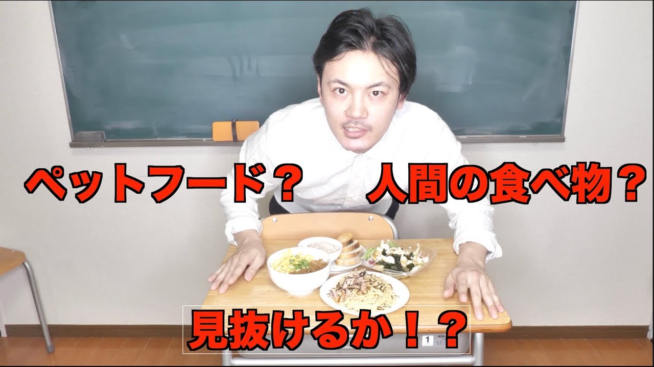 ペットフードと人間の食べ物区別つく Youtube