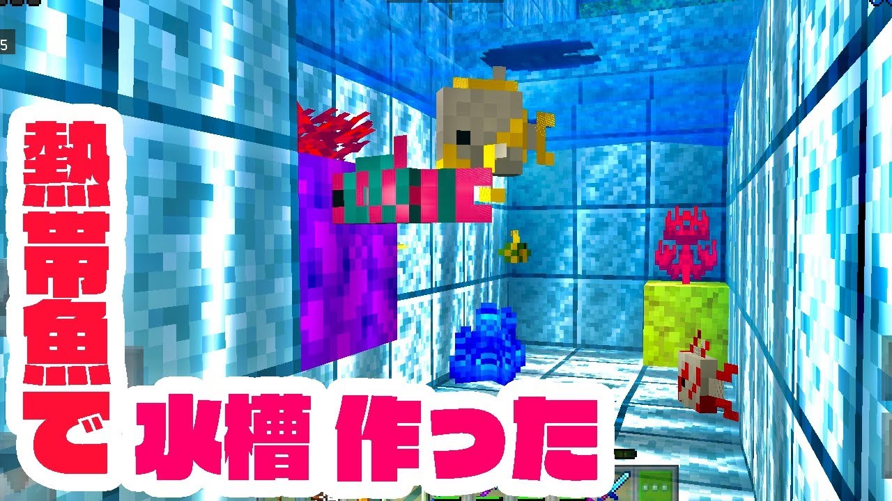 マイクラ 熱帯魚水槽作った Youtube マイクラ 熱帯魚水槽作った Youtube