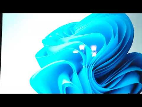 Windows 11 vs Bonzify and Windows XP Horror Edition on Actual Hardware