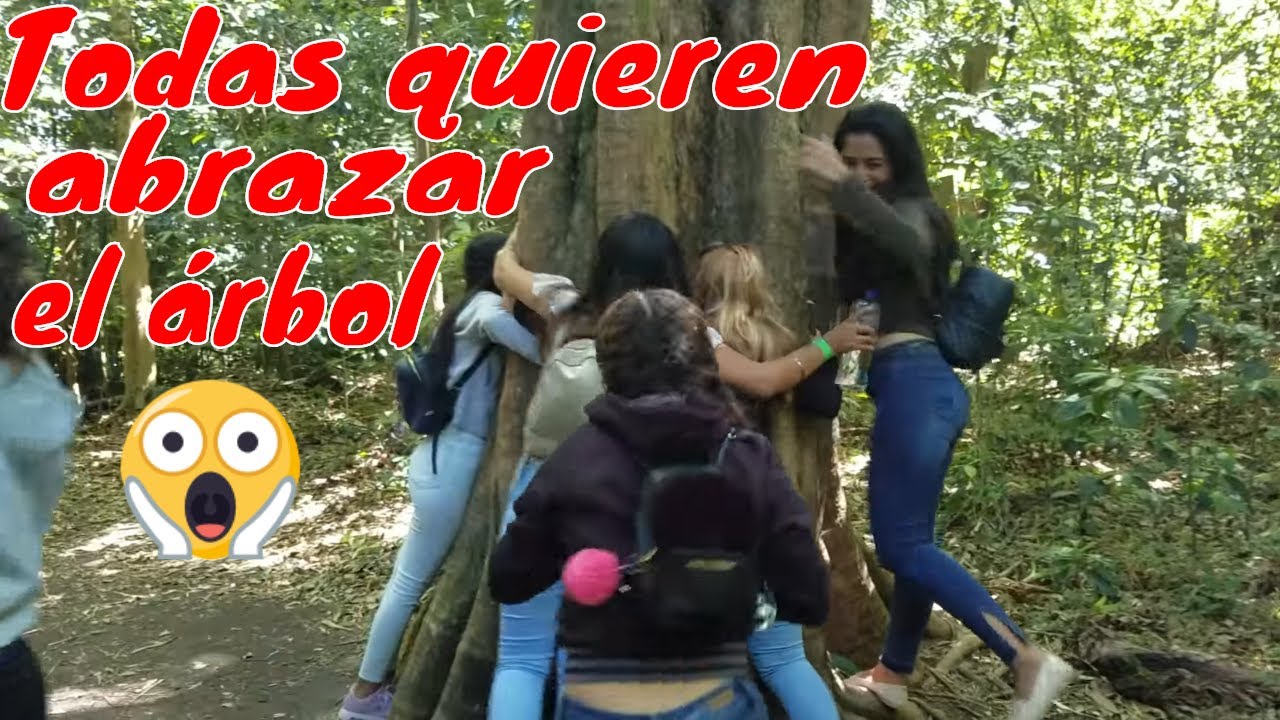 roxana ac odyssey El árbol milagroso que hace crecer a las personas las chicas quieren pompas.cerro verde.P9