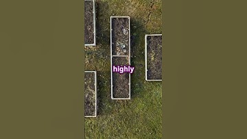 Top Vastu Tips for Plot Selection Must-Know List! I #vastu #plots