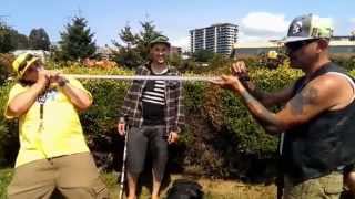 Seattle Hempfeast La Fumo Pipe an Custome Grow 420
