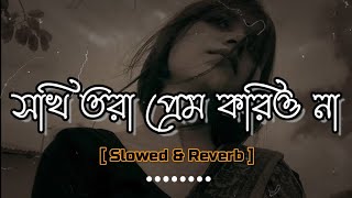 সখি তোরা প্রেম করিওনা [ Slowed & Reverb ] Sokhi Tora Prem Korio Na | Aditi Chakraborty | Folk Song Thumb