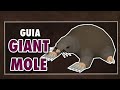 [OSRS] Guia basica en español GIANT MOLE (Niveles bajos o medios) 2020