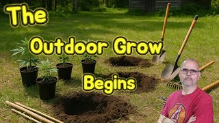 From Seedling to Monster: Outdoor Grow Starts Now