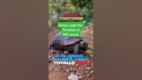 How to draw emoji for Tortoise in MS-word #tortoise #mswordshortcutkey #fyp #shortfeeds #viralshorts