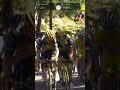 La Visma ci prova in tutti i modi! 🐝      #pogacar #vingegaard #tourdefrance #ciclismo