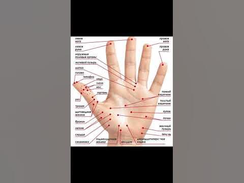 ТОЧКИ РУК #здоровье #польза #массажрук #массаж #руки #массажкистей # ...